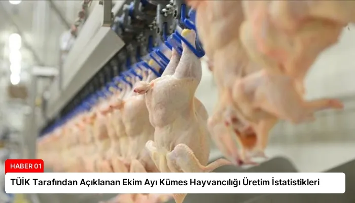 TÜİK Tarafından Açıklanan Ekim Ayı Kümes Hayvancılığı Üretim İstatistikleri