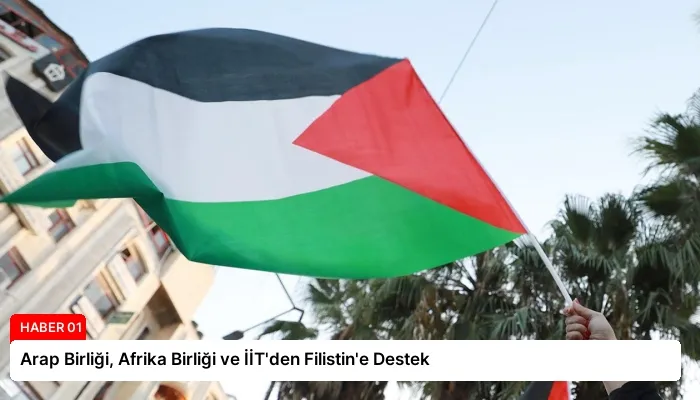 Arap Birliği, Afrika Birliği ve İİT’den Filistin’e Destek