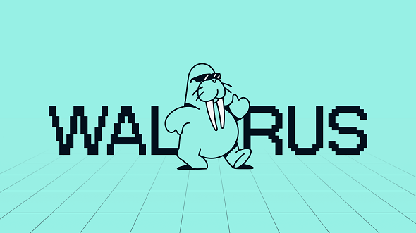 Walrus Ana Ağda Yayında: Web3 için programlanabilir depolama dönemi başlıyor