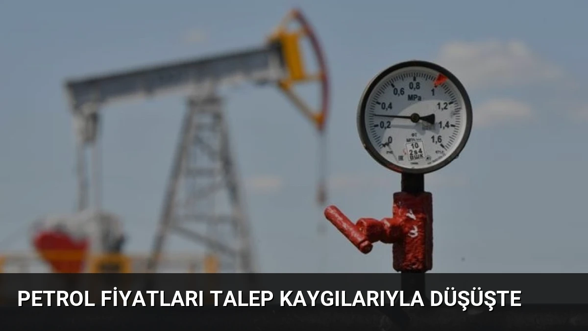 Petrol Fiyatları Talep Kaygılarıyla Düşüşte