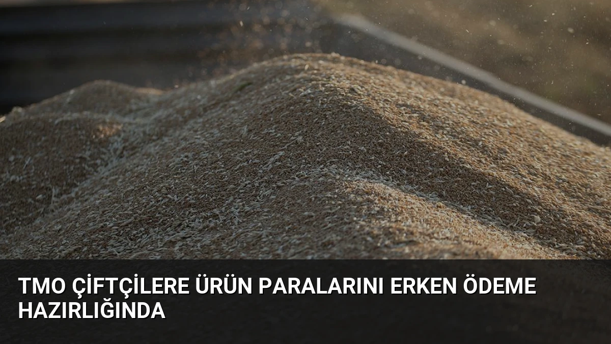 TMO Çiftçilere Ürün Paralarını Erken Ödeme Hazırlığında