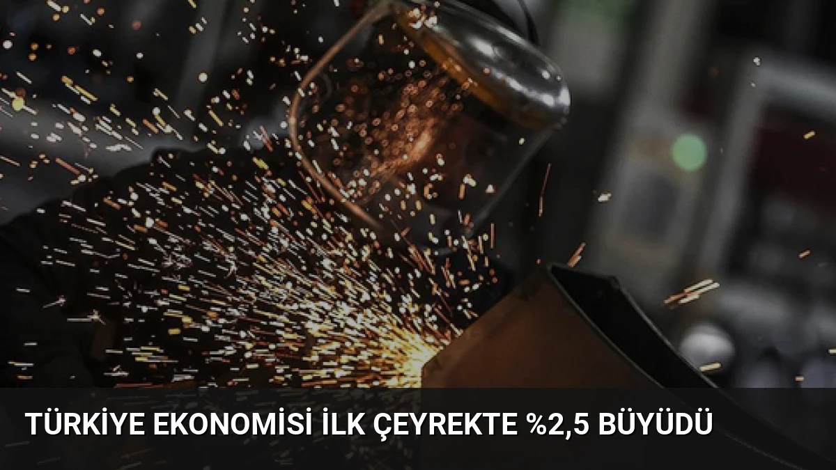 Türkiye ekonomisi ilk çeyrekte %2,5 büyüdü