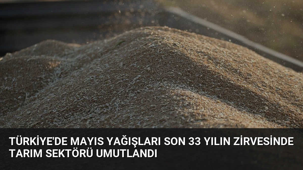 Türkiye’de Mayıs Yağışları Son 33 Yılın Zirvesinde Tarım Sektörü Umutlandı