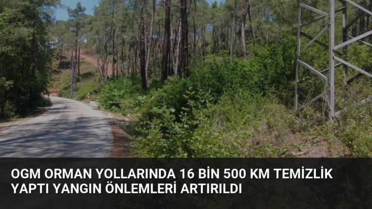 OGM Orman Yollarında 16 Bin 500 Km Temizlik Yaptı Yangın Önlemleri Artırıldı