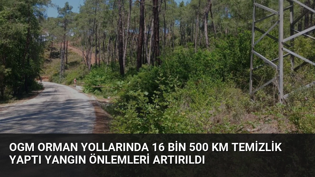OGM Orman Yollarında 16 Bin 500 Km Temizlik Yaptı Yangın Önlemleri Artırıldı