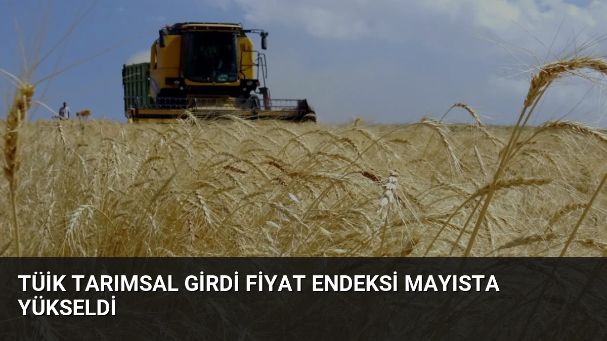 TÜİK Tarımsal Girdi Fiyat Endeksi Mayısta Yükseldi