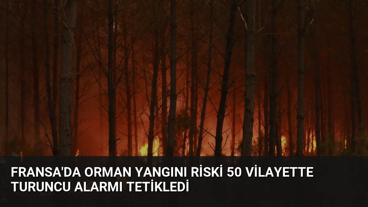 Fransa’da Orman Yangını Riski 50 Vilayette Turuncu Alarmı Tetikledi