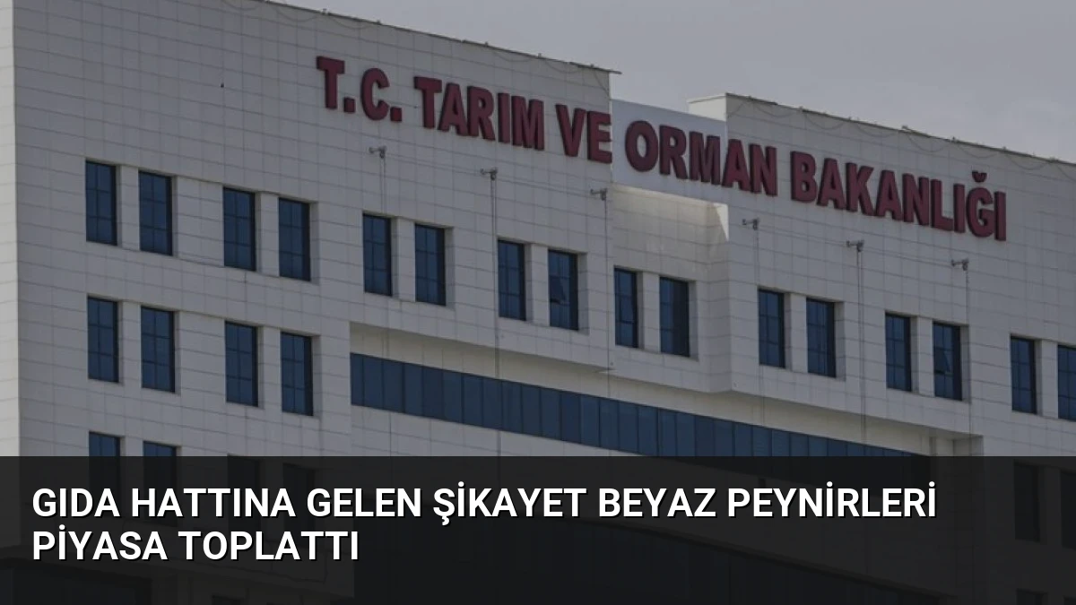 Gıda Hattına Gelen Şikayet Beyaz Peynirleri Piyasa Toplattı