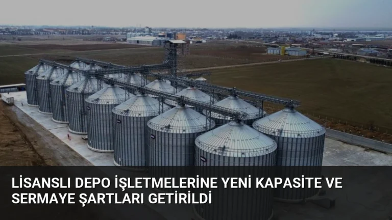 Lisanslı Depo İşletmelerine Yeni Kapasite ve Sermaye Şartları Getirildi