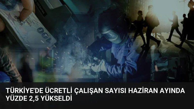 Türkiye’de Ücretli Çalışan Sayısı Haziran Ayında Yüzde 2,5 Yükseldi