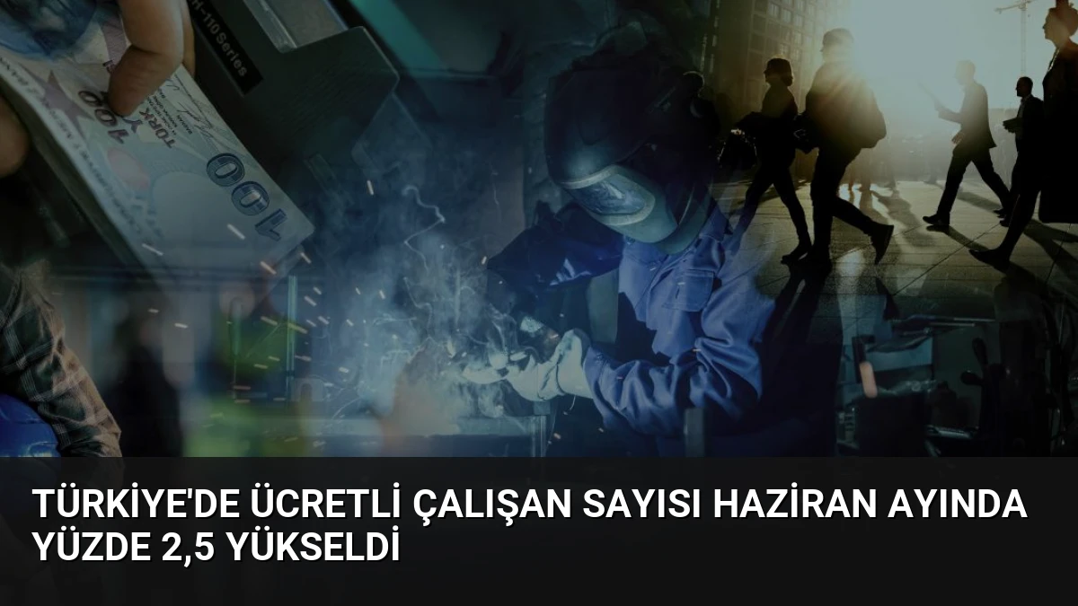 Türkiye’de Ücretli Çalışan Sayısı Haziran Ayında Yüzde 2,5 Yükseldi