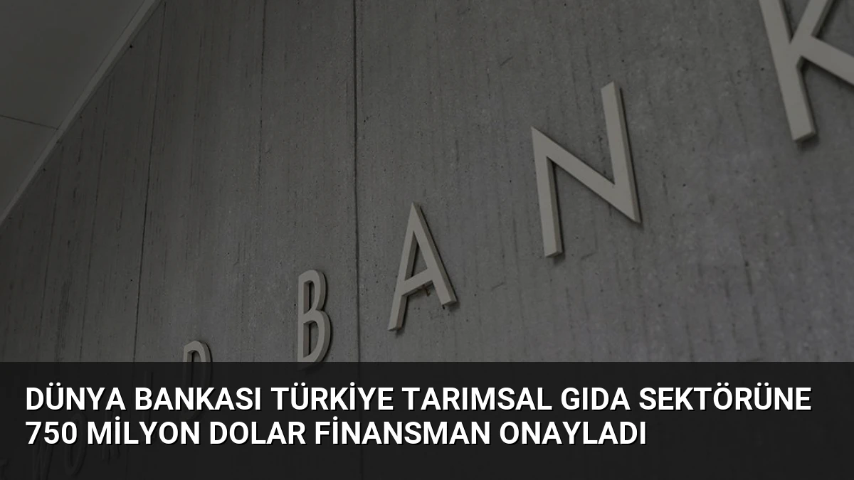 Dünya Bankası Türkiye Tarımsal Gıda Sektörüne 750 Milyon Dolar Finansman Onayladı