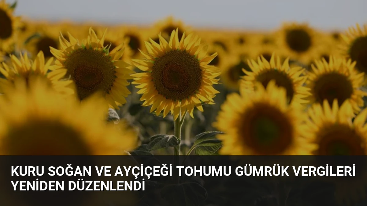 Kuru Soğan ve Ayçiçeği Tohumu Gümrük Vergileri Yeniden Düzenlendi