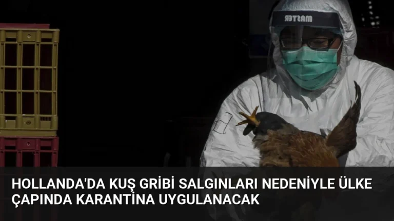Hollanda’da Kuş Gribi Salgınları Nedeniyle Ülke Çapında Karantina Uygulanacak