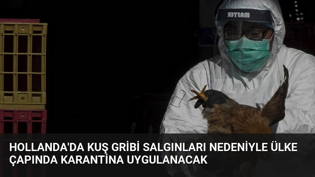 Hollanda’da Kuş Gribi Salgınları Nedeniyle Ülke Çapında Karantina Uygulanacak