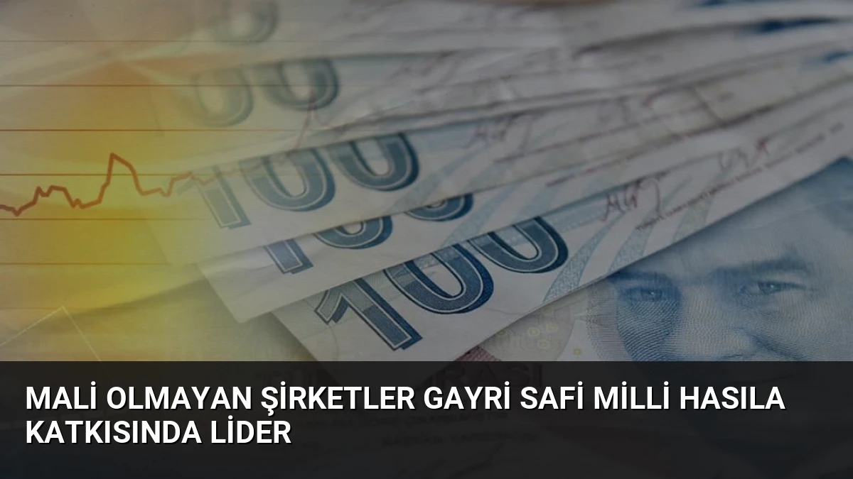 Mali Olmayan Şirketler Gayri Safi Milli Hasıla Katkısında Lider