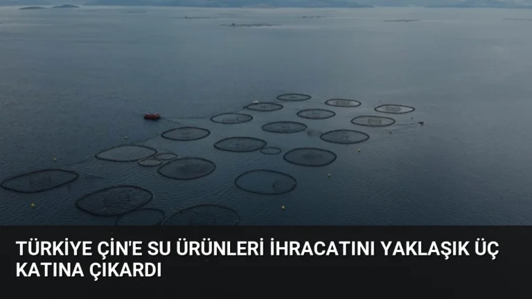 Türkiye Çin’e Su Ürünleri İhracatını Yaklaşık Üç Katına Çıkardı
