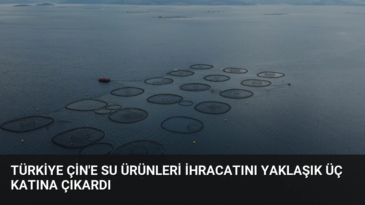 Türkiye Çin’e Su Ürünleri İhracatını Yaklaşık Üç Katına Çıkardı
