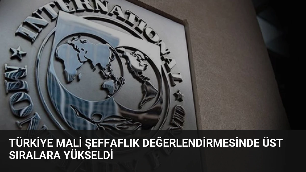 Türkiye Mali Şeffaflık Değerlendirmesinde Üst Sıralara Yükseldi