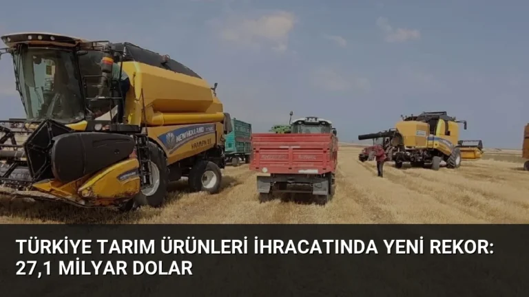 Türkiye Tarım Ürünleri İhracatında Yeni Rekor: 27,1 Milyar Dolar